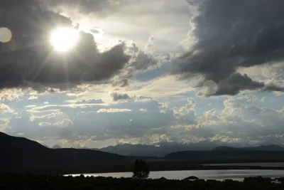 DSC_3282 (Large).JPG